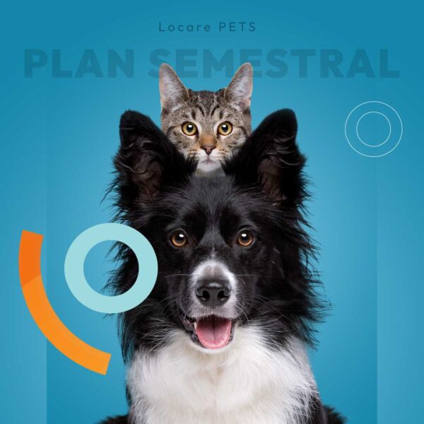 Plan semestral Locare Mascotas