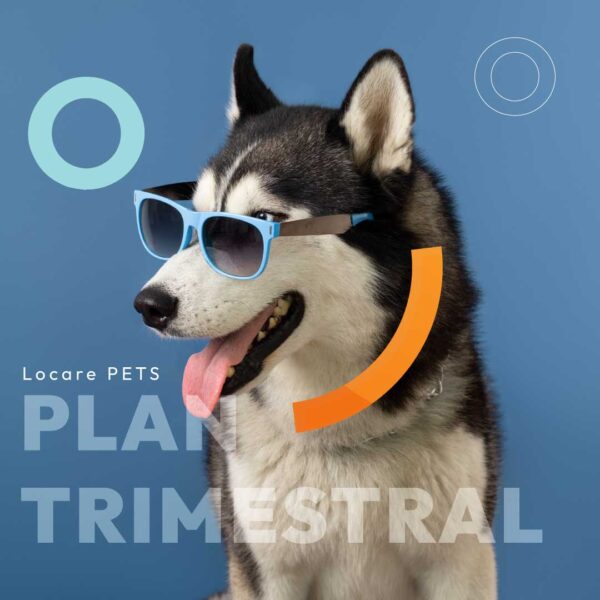 Plan Trimestral Mascotas Locare