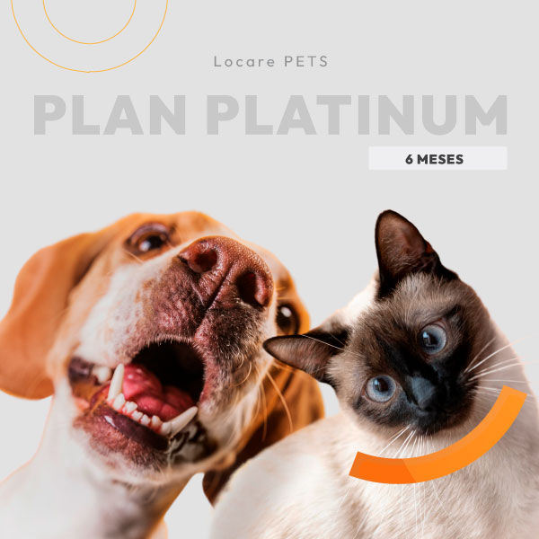 Plan Pets Platinum Locare