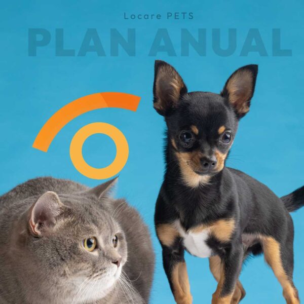 Plan Anual Locare Mascotas
